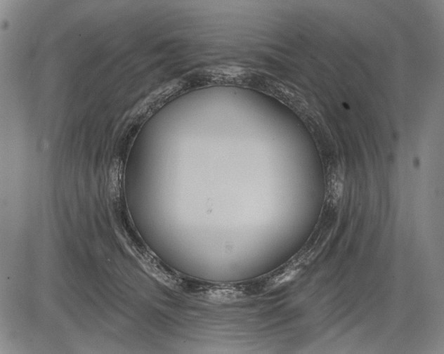 X0000083610468200703051548