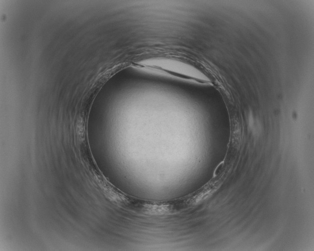 X0000083610469200703051548