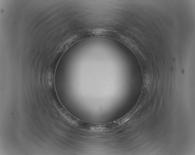 X0000083610470200703051548