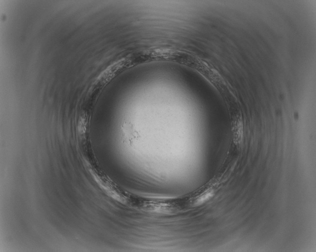 X0000083610472200703051548