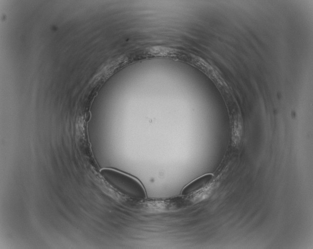 X0000083610473200703051548