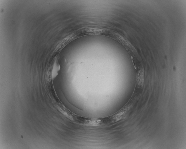 X0000083610474200703051548