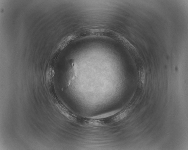 X0000083610475200703051548