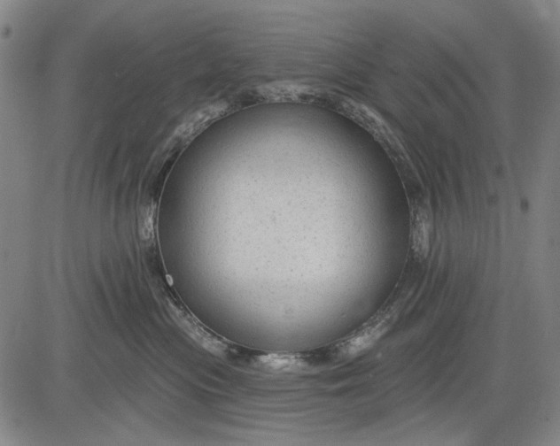 X0000083610477200703051548