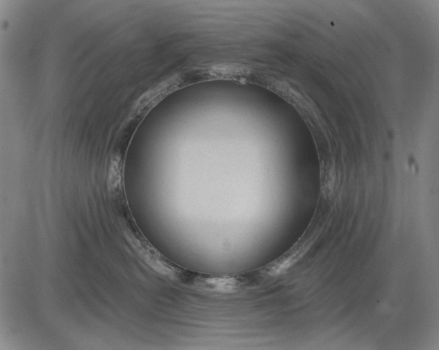 X0000083610478200703051548