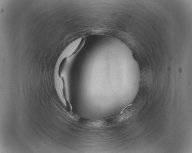 X0000083610479200703051548