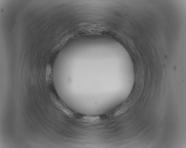 X0000083610480200703051548