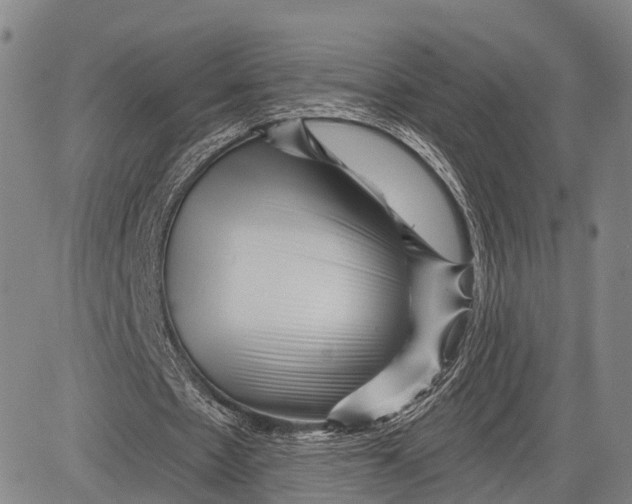 X0000083610481200703051547