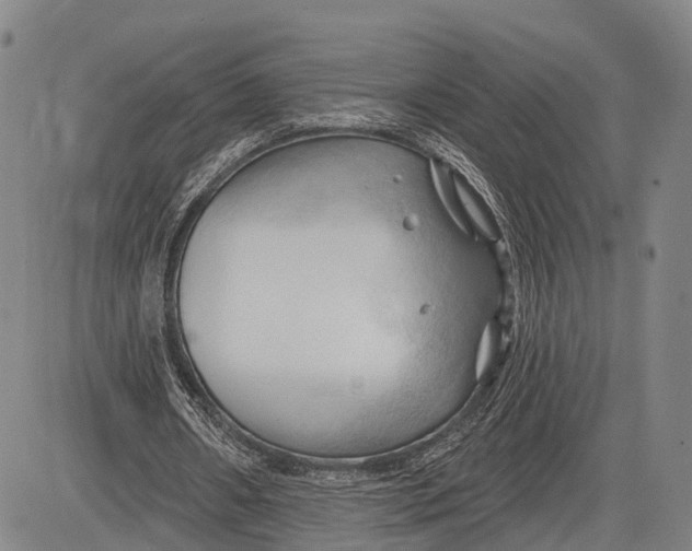 X0000083610482200703051547