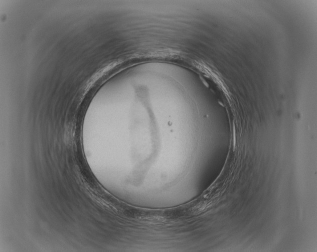 X0000083610483200703051547