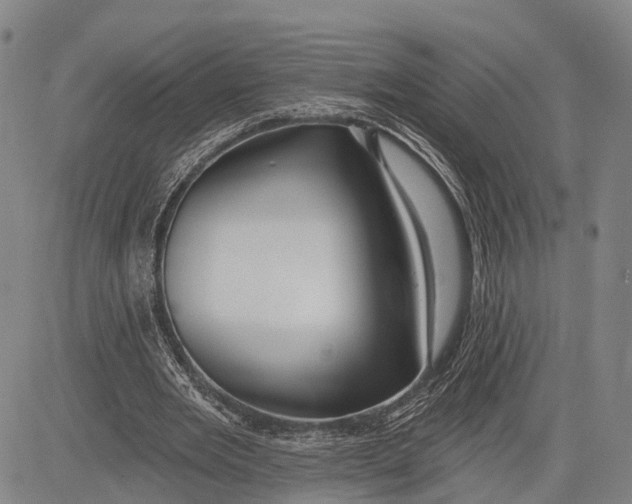 X0000083610485200703051547