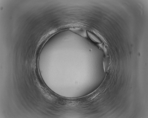 X0000083610486200703051547