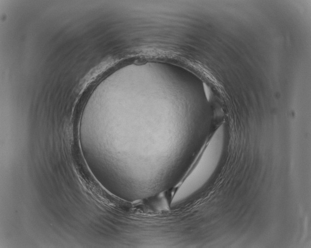 X0000083610488200703051547