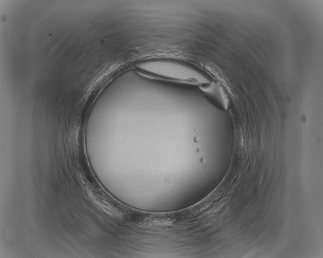 X0000083610491200703051547