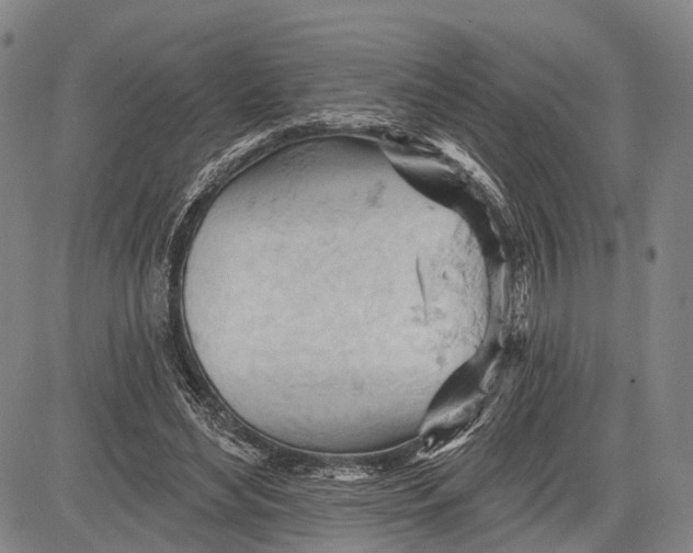 X0000083610492200703051547