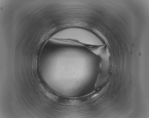 X0000083610493200703051547