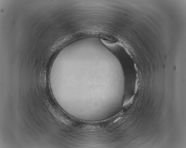 X0000083610494200703051547