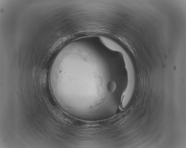 X0000083610495200703051547