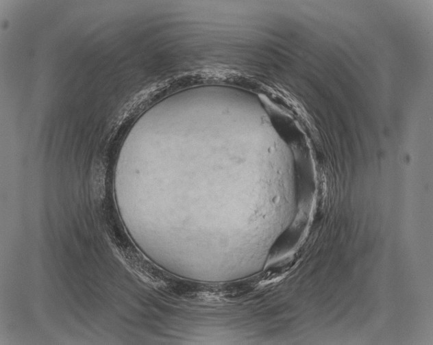 X0000083610496200703051547