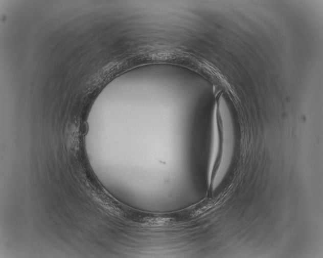 X0000083610497200703051547