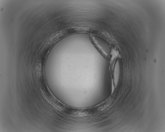 X0000083610498200703051547