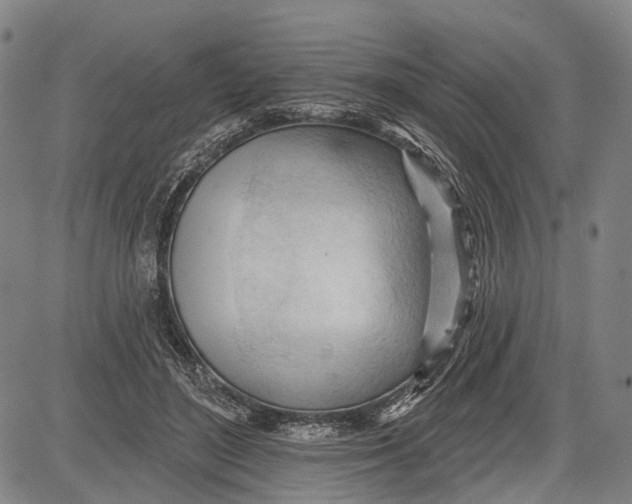 X0000083610500200703051547