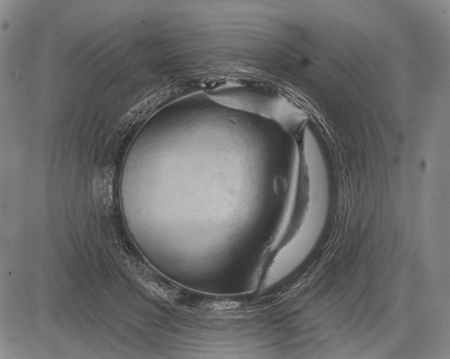 X0000083610501200703051547