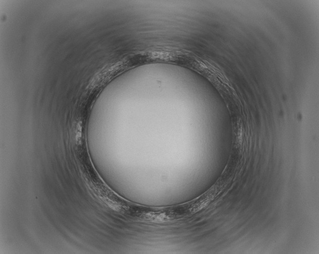 X0000083610502200703051547