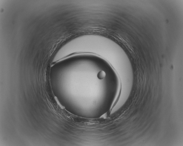 X0000083610504200703051547