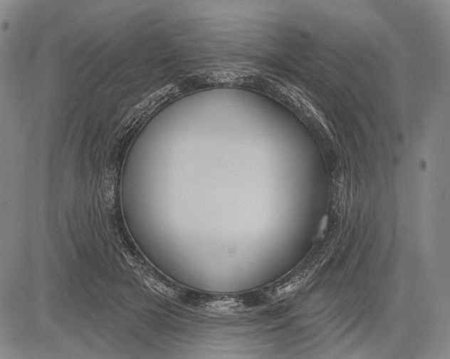 X0000083610505200703051547