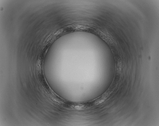 X0000083610506200703051547