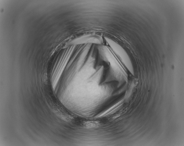 X0000083610508200703051547