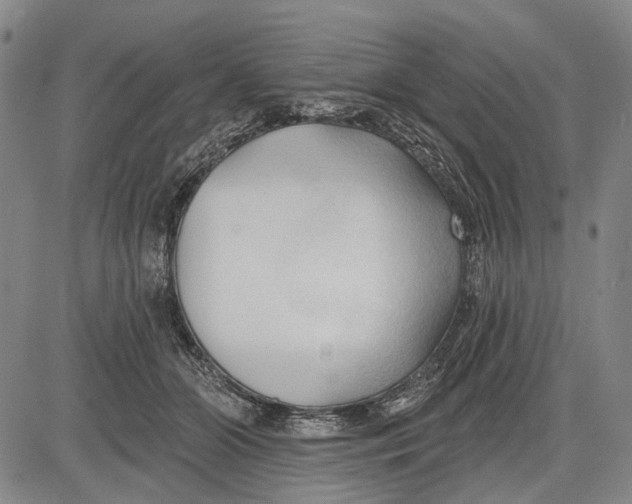 X0000083610510200703051547