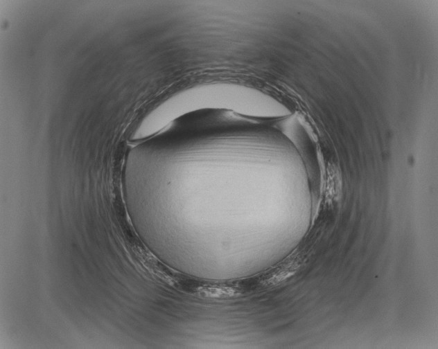 X0000083610512200703051547