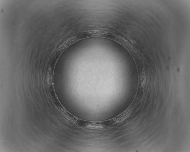 X0000083610515200703051547