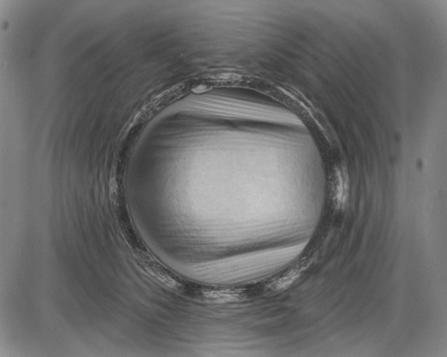 X0000083610516200703051547