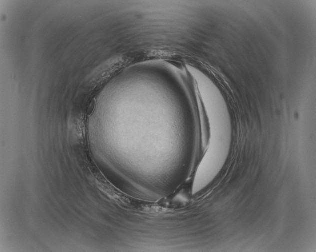 X0000083610517200703051547