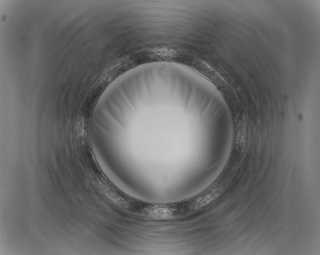 X0000083610518200703051547