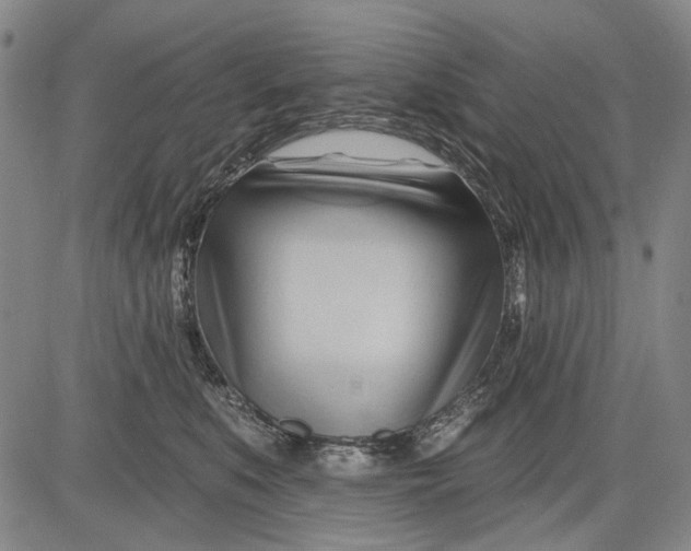 X0000083610519200703051547