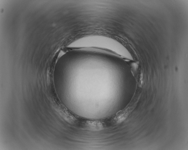 X0000083610520200703051546