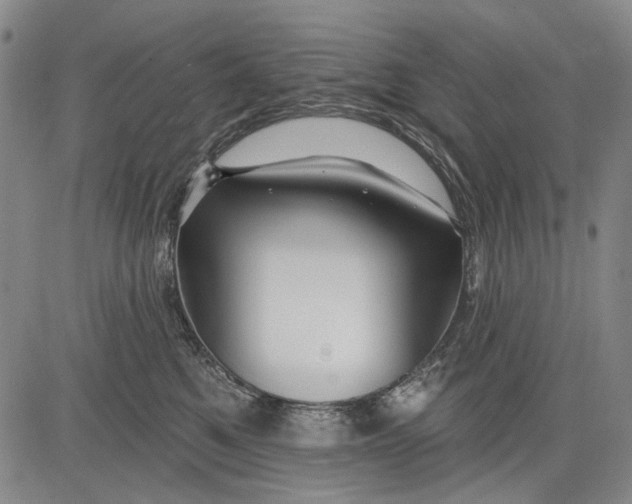 X0000083610521200703051546