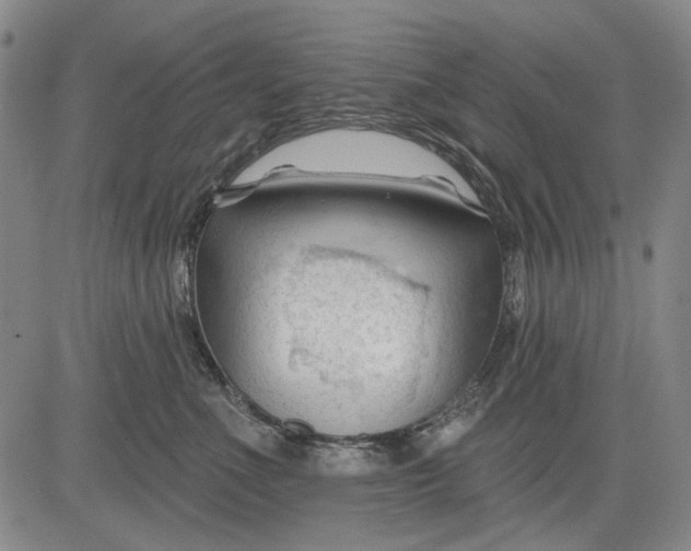 X0000083610523200703051546