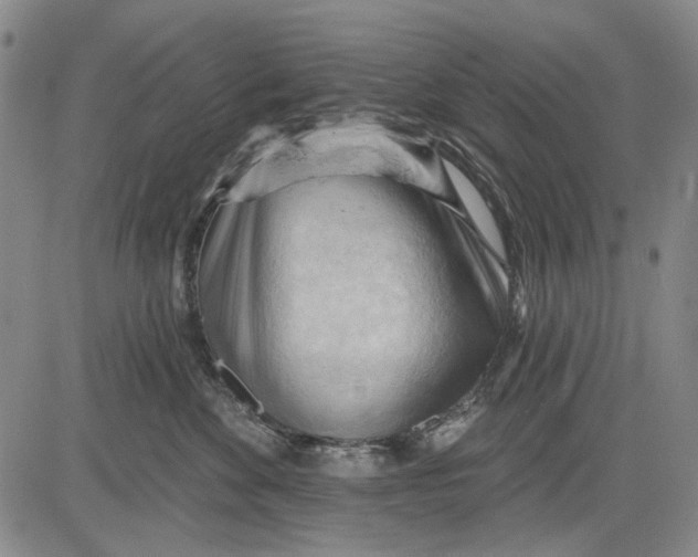 X0000083610524200703051546