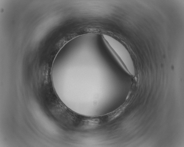 X0000083610525200703051546