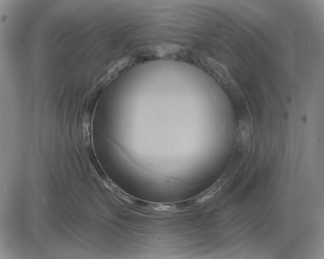 X0000083610527200703051546