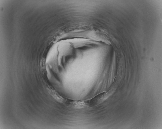 X0000083610528200703051546