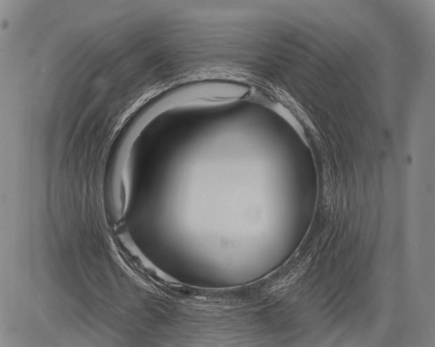 X0000083610530200703051546