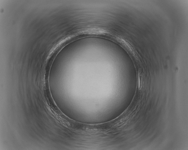 X0000083610531200703051546