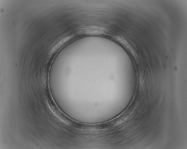 X0000083610533200703051546