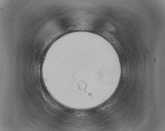 X0000083610534200703051546